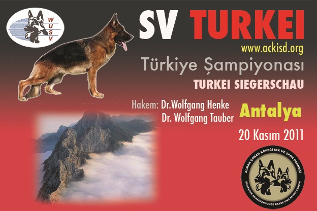 2011 Türkiye Şampiyonası